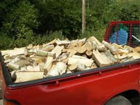 Hilux Load of Logs